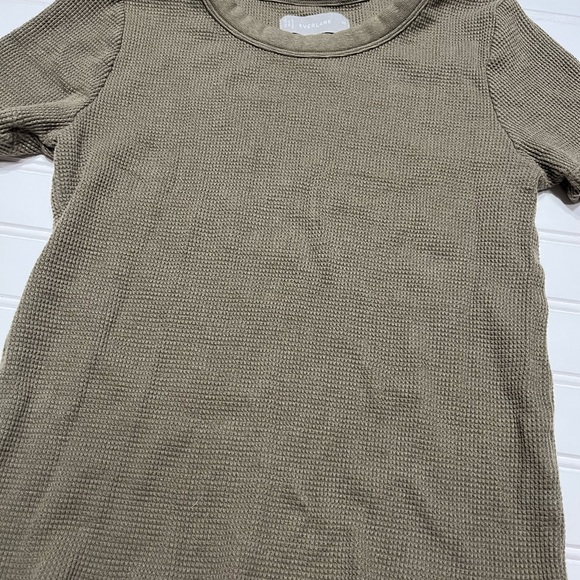 EVERLANE Waffle Knit Crewneck Tee in Olive - Picture 2 of 3